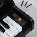 Mini Pianoforte Giocattolo per Bambini  25 Tasti in ABS Nero