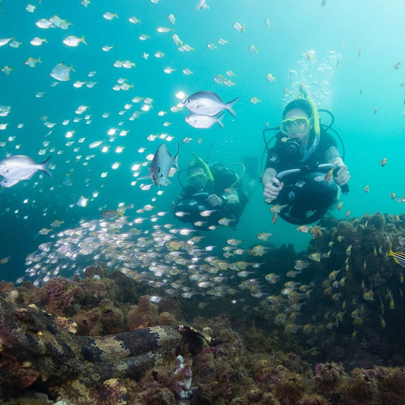 Acquascooter Elettrico Yamaha RDS280 DPV 4,5Km/h