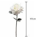 Set 6 Rose Single Ghiacciata H68 cm Bianco