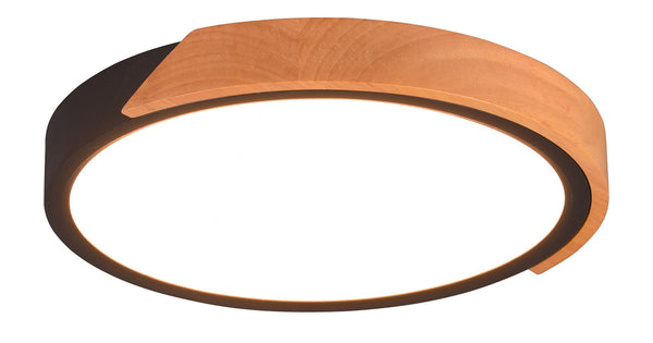 Plafoniera da Interno a LED in Plastica Nero Opaco sconto