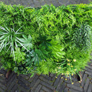 Parete Verde Verticale Artificiale 100x100 cm