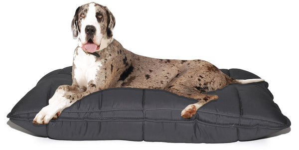 Gepolstertes Kissen für Hunde und Katzen 60 x 100 cm aus dunkelgrauer grober Mikrofaser sconto