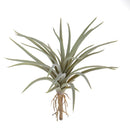 Set 6 Foglie Artificiali Tillandsia 16 cm 