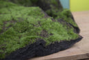 Set 2 Mattonella Muschio Artificiale Altezza 40 cm Verde