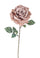 Set 4 Kunstrosen Madonna Höhe 70 cm Beige