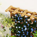 Letto per Orto Rialzato con Traliccio per Rampicanti e Pergola Superiore 64x33x122 cm in Legno di Abete    
