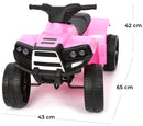 Mini Quad Elettrico per Bambini 6V Nero e Rosa