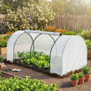 Serra da Giardino a Tunnel 200x100x80 cm in Acciaio e con Copertura in PVC Bianco      