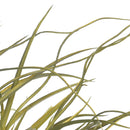 Set 4 Ciuffo di Erbetta Artificiale Altezza 50 cm Verde