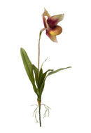 Set 3 Rami Artificiali Orchidea 64 cm Scarpetta con Foglie 