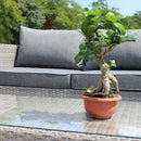 Set Salotto da Giardino Divano 2 Poltrone e Tavolino con Cuscini in Wicker Grigio