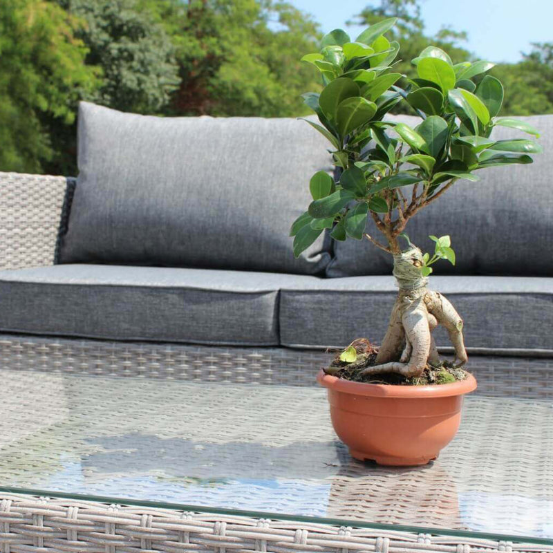 Set Salotto da Giardino Divano 2 Poltrone e Tavolino con Cuscini in Wicker Grigio