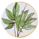 Set 6 Sottopiatti Tondi Ø33x2 cm  in Polipropilene VdE Tivoli 1996 Oriental Botanique