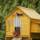 Porta Automatica per Pollaio 42V 30x30 cm con Timer e Sensore di Luce in Alluminio e ABS Argento