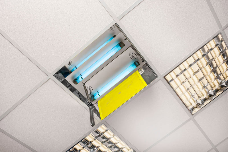 5 Cartoncini Collante 30x40 cm per Zanzariera da Incasso Trappen Luna 50