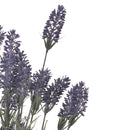 Set 4 Lavanda Artificiale con 15 Fiori Altezza 61 cm Viola