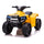 Elektro Mini Quad für Kinder 6V Schwarz und Gelb