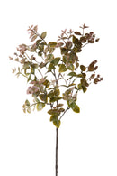 Set 6 Rami Artificiali Ruscus Orientale H 68 cm 