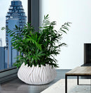 Vaso Gaspeau Honduras 40x20x40 cm in Poliresina Bianco