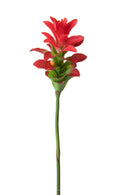 Set 4 Rami Artificiali Ginger Fiore con Foglie 100 cm 