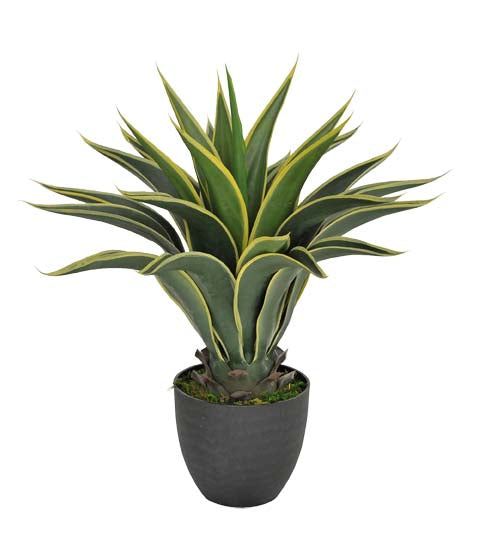 acquista Pianta Artificiale Agave Attenuata con Vaso H 60 cm