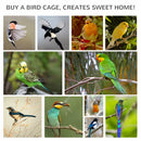 Voliera Gabbia per Uccelli da Esterno 80,5x57x158,5 cm Tetto in Asfalto in Legno di Abete Grigio Chiaro