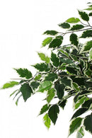 Set 2 Piante Artificiali di Ficus 120 h in Plastica con Vasi Verde