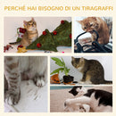 Albero Tiragraffi con Cuccia per Gatti in Legno Sisal 45x45x81 cm  Grigia