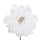 Set 12 Pfingstrosen-Picks Ø14 cm Weiß