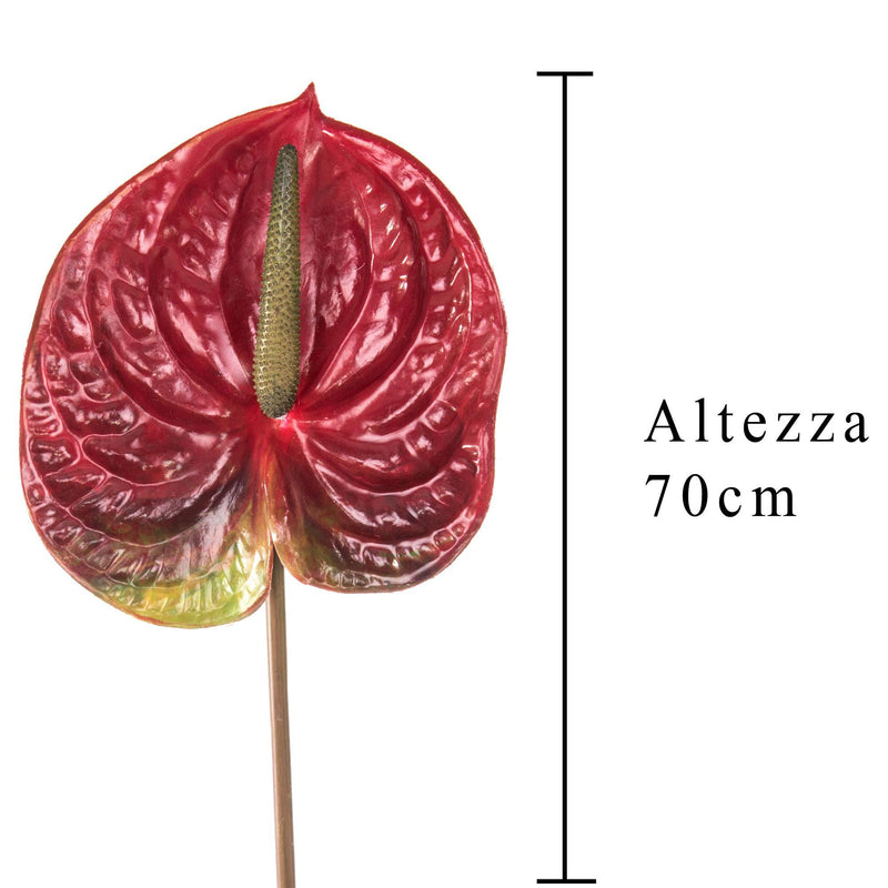 Set 6 Fiori Artificiali di Anthurium Altezza 70 cm Rosso