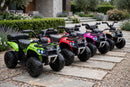Quad Elettrico per Bambini Safari 6V con Bauletto Posteriore Rosso