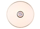 Plafoniera da Interno a LED in Plastica Bianco