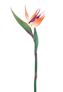 Set 6 Strelizia Artificiali Altezza 83 cm Arancio