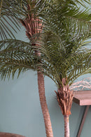 Ramo Artificiale Phoenix Palm a 2 Diramazioni con Vaso H 230 cm