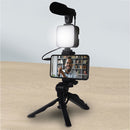 Set per Video Live Microfono Mini Treppiedi e Luce con Telecomando