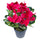 Set 2 künstliche Alpenveilchen mit Topfhöhe 32 cm