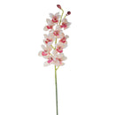 Set 2 Rami Artificiali Cymbidium Real Touch con 10 Fiori e 2 Bocci H 92 cm
