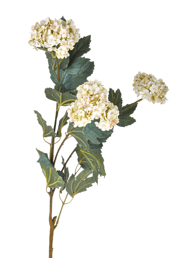 sconto Set mit 12 künstlichen römischen Viburnums H.78 cm