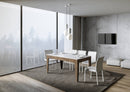 Tavolo Allungabile 160-220x90x77 cm Cico Mix Bianco Frassino