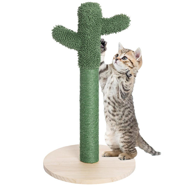 sconto Tiragraffi Graffiatoio Forma Cactus Pianta per Gatti Animali Felini Verde