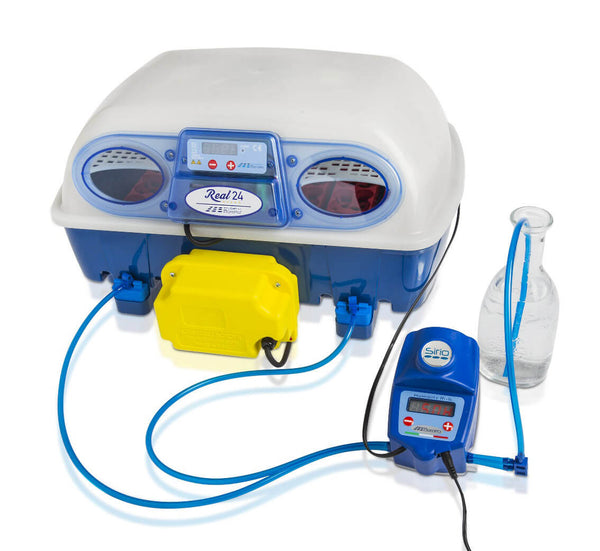 Borotto Real 24 Expert Eierinkubator und automatischer Luftbefeuchter acquista