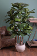 Ficus Lyrata Artificiale Altezza 180 cm Verde