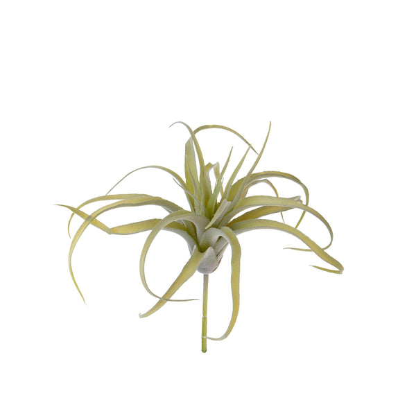 Set 4 Foglie Artificiali Tillandsia per 21 25 cm acquista