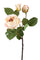 Set mit 12 Kunstrosen Romantica mit 3 Zweigen, Höhe 48 cm, Beige
