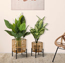 Set 2 Portavasi Ø41x47-33x39 cm in Metallo e Rattan