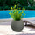 Vaso da Esterno Interno Design a Sfera Ø40x33 cm Botticelli in Resina Verde