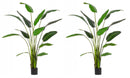 Set 2 Piante Artificiali Strelitzia 120x100x235 cm in Plastica con Vasi Verde