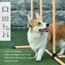 Set Addestramento Cani da Esterno Ø60x297 cm Slalom Ostacolo e Tunnel Arancione