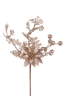 Set 12 Rami con Stella H35 cm Champagne