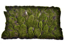 Set 2 Mattonella Muschio Artificiale Altezza 40 cm Verde